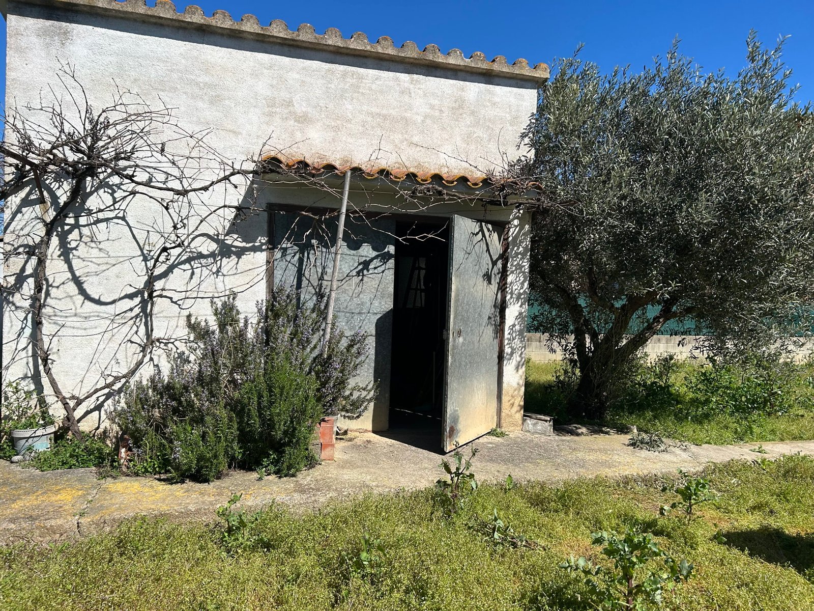 Parcel·la edificable amb barraca i hort a Flaçà