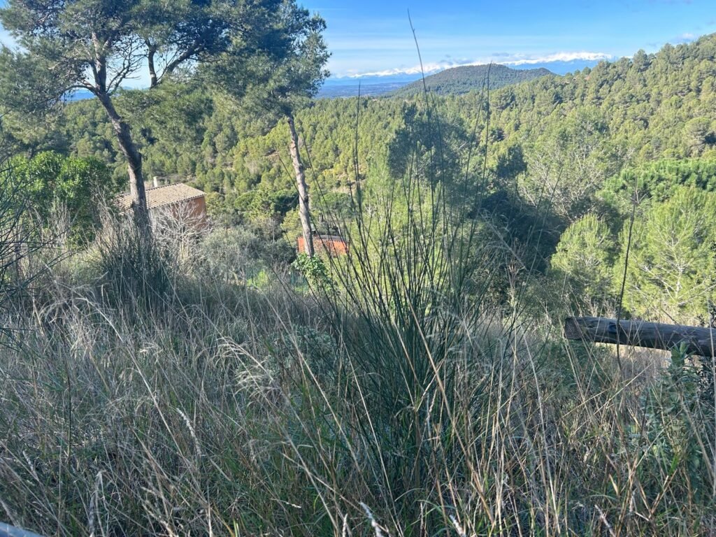 Terreny de 424 m² situat a la urbanització Residencial Begur, a Begur, ideal per a la construcció d’un habitatge en un entorn tranquil i residencial.